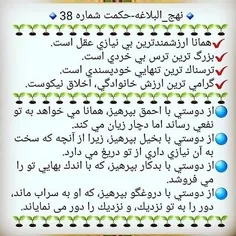 پند حکیمانه از امام علی علیه السلام