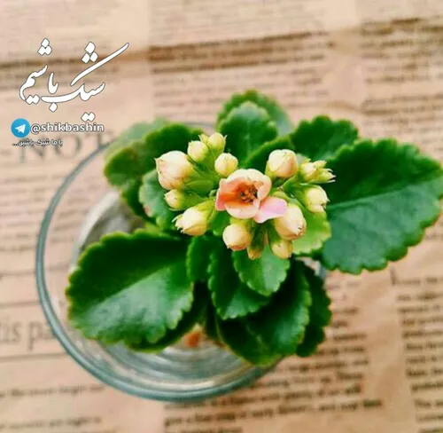 « از من