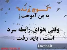 عکس نوشته delaram1 4518461