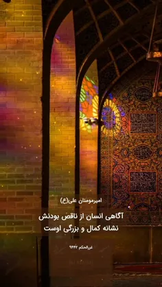 من از شوقش زمین خوردم