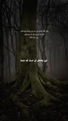 در هر قدم به سوی خدا حرکت کنید و در مسیر نورانی قرآن قرار