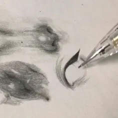 نقاشی کیوت 🩷🤍 سیاه قلم