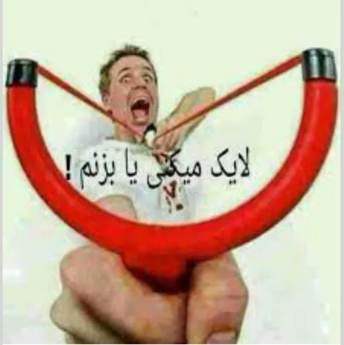 پیکنی یا نهههههههه