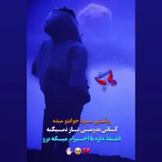 آری ولا 