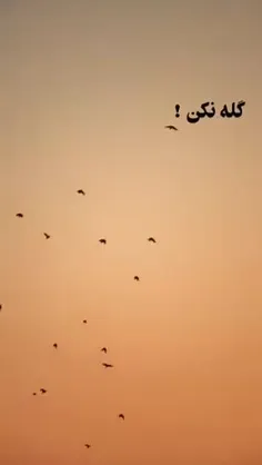 الهے برقصاند خدا به ساز تو؛ جهانت را ...♥️🕊