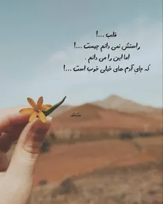 قلب ...!