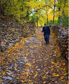 بخیر باد جوانی، اگر چه کوته بود 