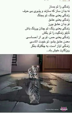 زندگی را تو بساز