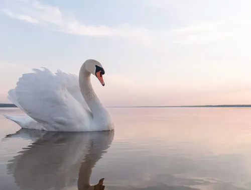 خوشگله واسه تمام دنبال کننده هام * ~