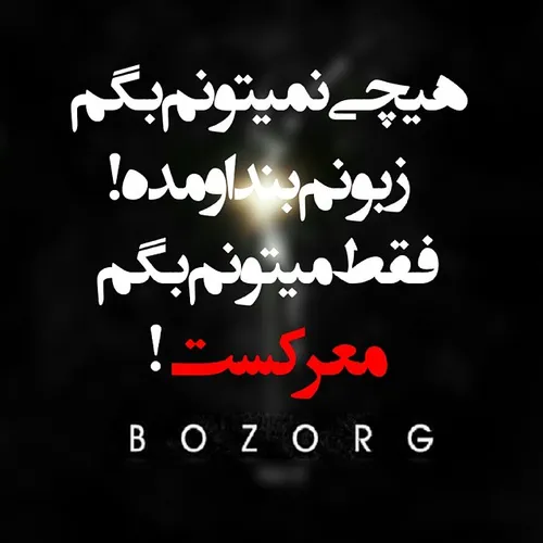 البوم جدید زد بازی به نام :   (BOZORG)