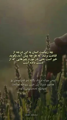 چه خوب است آدم به آن درجه از قناعت برسه...