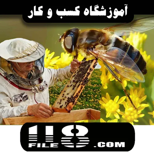 بهترین اموزش زنبور داری