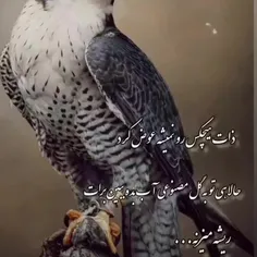 ذات هیچ کس را نمیشه عوض کرد❌