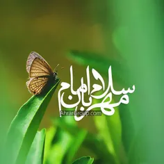 💠  سلام بر مهدی(ع) 💠 