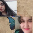 niayeshnioshaamirsoleimani