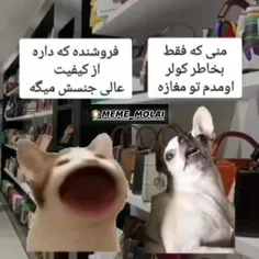 دقیقا 😂😂