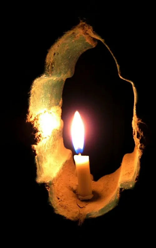 شمع روشن شد و پروانه در آتش گل کرد
