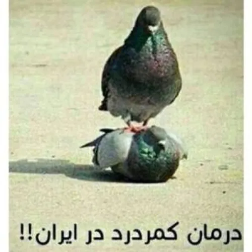 به به کاملا درسته😁