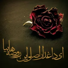 #سلام_امام_زمانم 🖤