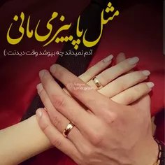 عشق یعنی که جهان غایب 