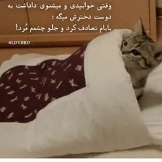 لایک و کامنت یادت نره رفیق🖤❤:)