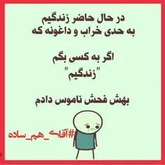 #آقای_هم_ساده