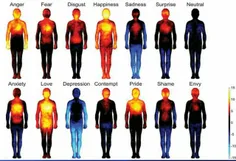 دمای بدن انسان در موقعیت های مختلف....