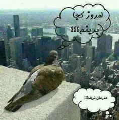 خخخخخ