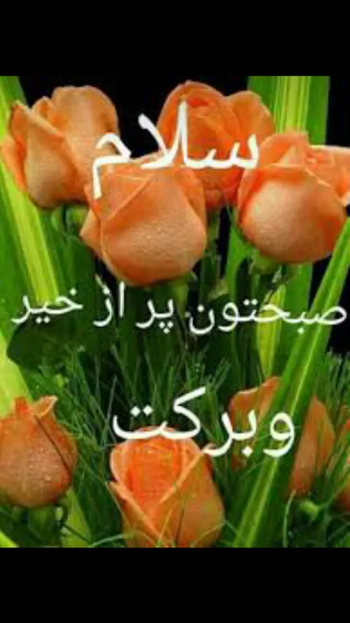 صبح راآغازمیکنیم