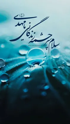 « السَّلامُ عَلَيْكَ يا عَيْنَ الحَياةِ » 