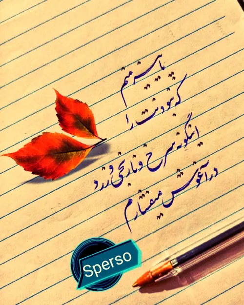 عکس نوشته sperso 42129307 - عکس ویسگون