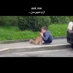 یه پنجه پیدا کردم🐾🐢✨