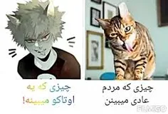 برای اوتاکو ها