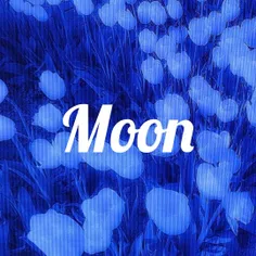 company.blue.moon 63872021