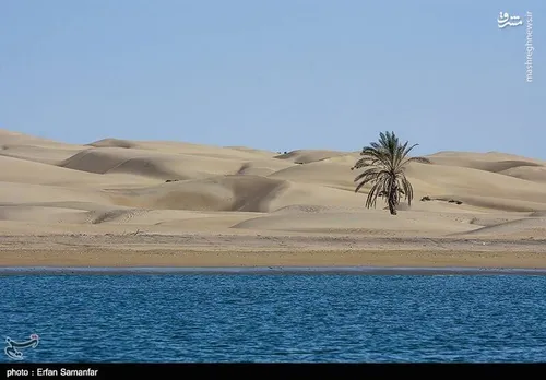 روستای ساحلی دَرَک واقع در بخش زرآباد جنوب سیستان و بلوچس