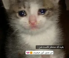 ادیت از خودمه 🐾                                          