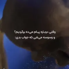 خر شدم...