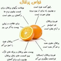 #پرتقال_و_دیگر_هیچ 😉 🍊  #خوراکی #ایده #هنر #خلاقیت #دکوری