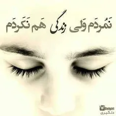 هه ی