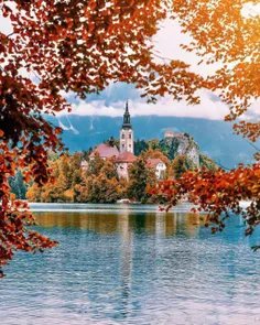 تصویری زیبا از فصل#پاییز در دریاچه بلد Bled در اسلوونی