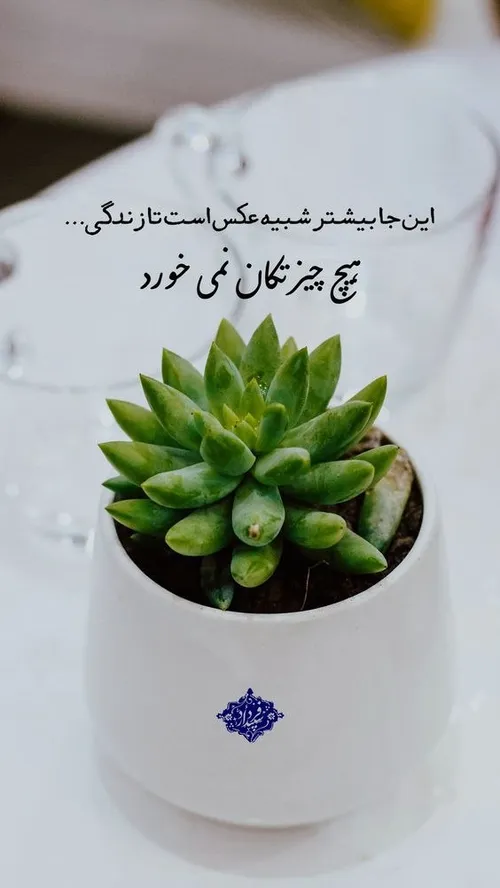 استوری