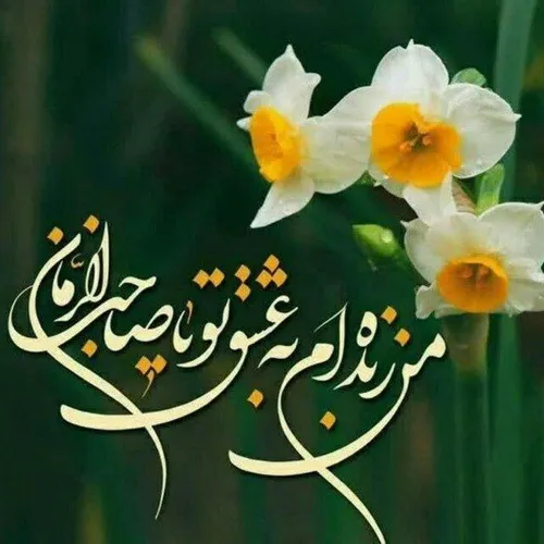 عشقم امام زمانم