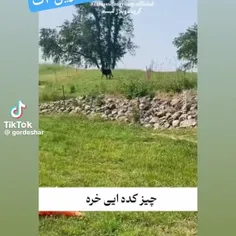 عید قربان مبارک 