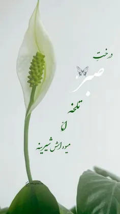 یه دعا شنیدم خیلی قشنگ بود