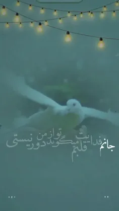 ✨فرازی از دعای ندبه ✨