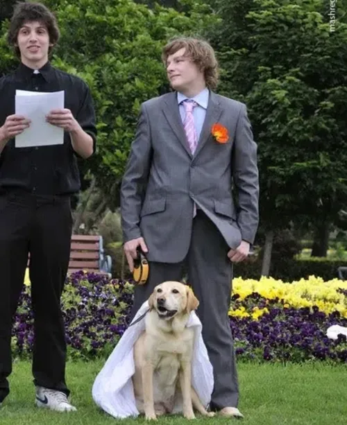 ازدواج جوان استرالیایی 20 ساله با سگ خود !