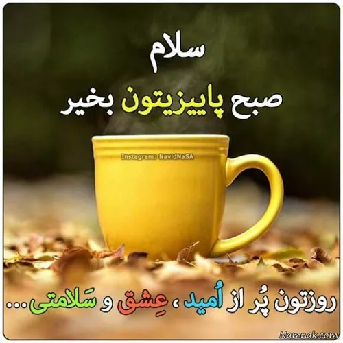 گوناگون majid-sima 31145839 - عکس ویسگون