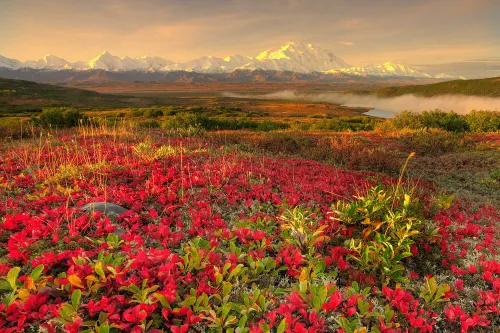 جادوی رنگ در طبیعت