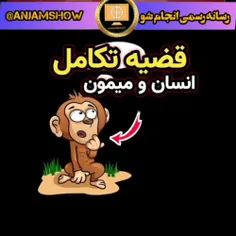 قضیه تکامل انسان ومیمون 