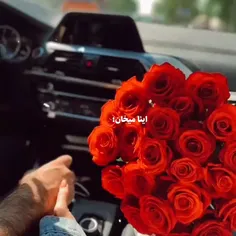 تو‌اولین‌و‌آخرین‌ذوق‌این‌دختری؛🦋Amir💗